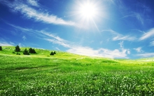 clouds landscapes nature trees bliss fields sunlight digital art 1920x1200 wallpaper 